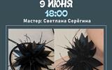сжат (55)